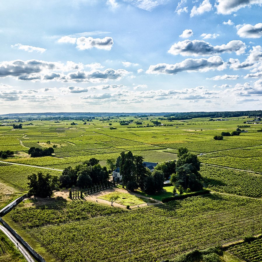 Luchtfoto van het kasteel en de wijngaarden van Château de Minière